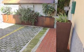 Exotic Flavour House